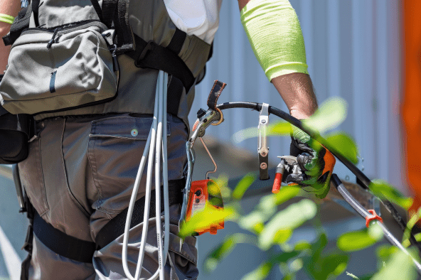害虫シーズン前に噴霧